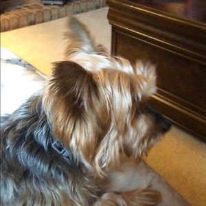 Meet your Posher, Karen